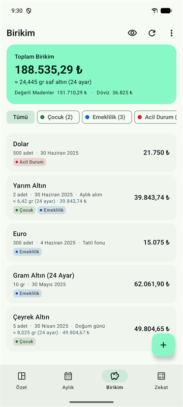 Birikim ekranı: altın ve döviz kayıtları, renkli etiketler